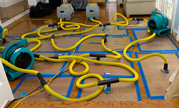 Professional Sewage Cleanup technician working in Jackson, WI